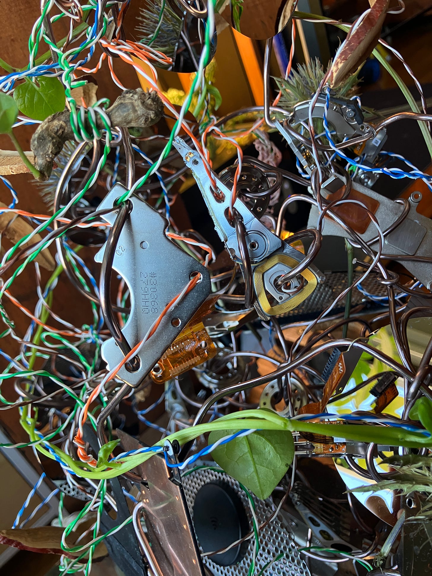 Close-up of art installation.